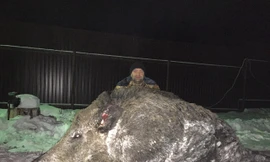 hình ảnh của Maximov bên con heo rừng khổng lồ được chia sẻ trên Imperial Hunt.