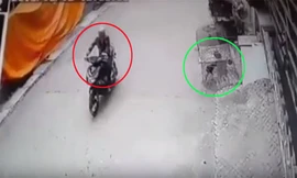 Thanh niên trộm gà chọi nhét vào cốp xe máy