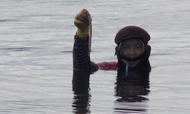 Việc lặn bắt sá sùng được xem là hiệu quả hơn.