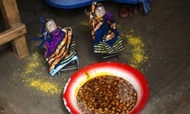 Các Hohovi đang chuẩn bị bữa ăn trưa.