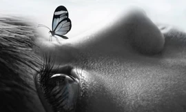 Triển lãm “Tình”