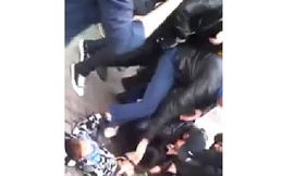 Hàng chục người lăn xả cứu em bé bị chó pitbull cắn 