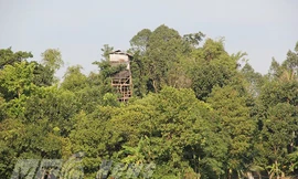 Công trình kỳ lạ ở ấp An Bình.