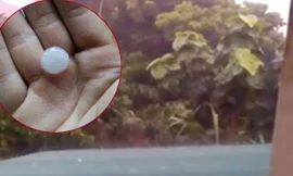 Những viên đá có đường kính to bằng đầu ngón tay.