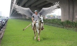 “Chàng trai đi trên cỏ xanh” gây sốt mạng xã hội