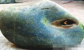 Hòn đá có trọng lượng 2,5kg.