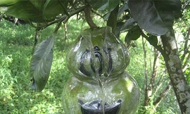 Bưởi, dưa hấu hồ lô được ốp hình đồng tiền, thỏi vàng