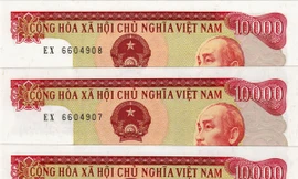 Đổ xô đi mua 'Hoa hậu' tiền giấy