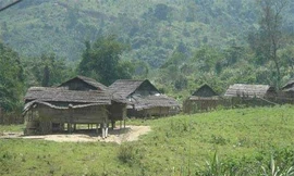 Hoang mang vì thanh niên trong bản bỗng dưng hóa điên