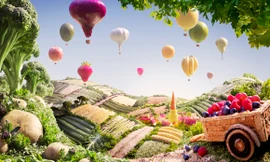 Lạc vào xứ sở... rau, củ, quả