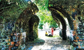 Càng bảo tồn, càng bóp méo?