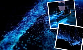 Đảo Cát Bà - Hải Phòng: Nơi ngắm lân tinh biển lung linh như lạc vào xứ thần tiên