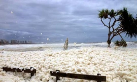 Australia: Bờ biển ngập bọt đặc như bông