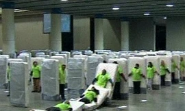 Kỉ lục thế giới về xếp domino