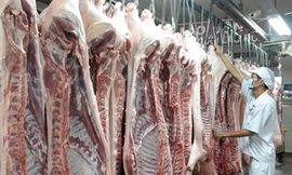 Thịt lợn sạch được đưa vào chế biến. Ảnh: Kim Phương (Thông Tấn Xã Việt Nam)