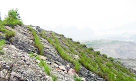 Công ty CP Than Núi Béo quan tâm công tác bảo vệ môi trường