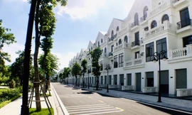 Dòng tiền đang đổ mạnh vào phân khúc biệt thự, nhà liền kề