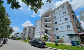 Giới trẻ chậm kết hôn, ngại sinh con vì giá nhà 'leo thang'