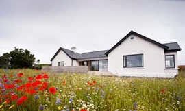 Nhà đẹp giữa 'rừng hoa'