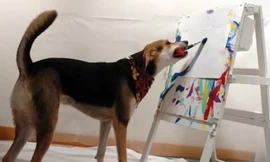 Những loài vật biết vẽ tranh