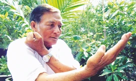 Rồng trắng ra đòn