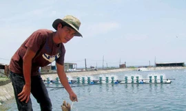 Người trẻ làng biển thiếu vốn