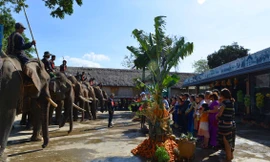 Độc đáo lễ cúng Thần Voi báo tin con gái có chồng