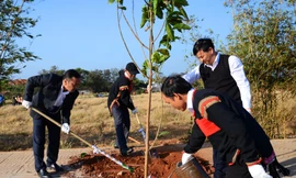 Lãnh đạo tỉnh cùng trồng cây với đồng bào Ê Đê