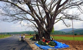 Đoạn đường xảy ra vụ án mạng trong đêm