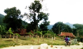 Ngôi nhà (bên phải ảnh) là nơi xảy ra án mạng 