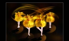 "Vũ Ba lê", ý tưởng từ những cánh lan Vũ Nữ- NSNA Nguyễn Hương Vượng