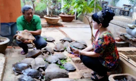 Ông Cường (trái) nuôi rùa đã 20 năm