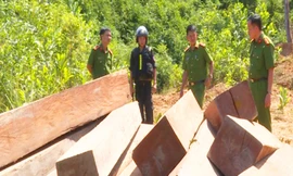 Công an tỉnh thu giữ tới hơn 330 m3 gỗ lậu ở huyện Ea Kar