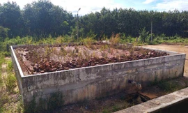 Công trình cấp nước bị bỏ hoang