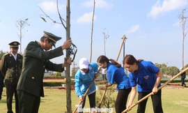 Tuổi trẻ TP Buôn Ma Thuột trồng cây xanh Xuân Canh Tý 2020