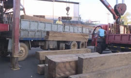 Giám đốc công an tỉnh trực tiếp chỉ đạo truy quét lâm tặc