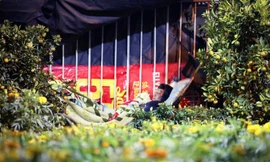 Sinh viên mưu sinh bằng nghề bán hoa