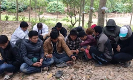 Các con bạc bị bắt tại xới bạc