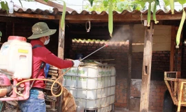 Cán bộ địa phương đi chống dịch trên đàn lợn 