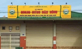 Công ty TNHH MTV Quang Hưng Đắk Nông 