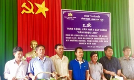Công ty sâm Ngọc Linh đã trao tặng tổng cộng 46.500 cây sâm Ngọc Linh giống cho người dân ở 2 huyện ở Kon Tum