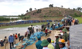 Đông đảo quân dân tham gia vá đoạn đê vỡ