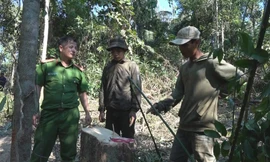 Công an liên tục phát hiện các vụ phá hoại rừng ở huyện Ea Kar