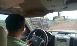 Gỗ lậu vận chuyển công khai ở huyện Ea Súp 