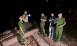Công an huyện M’đrắk mật phục bắt vụ vận chuyển gỗ lậu 