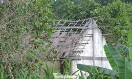 Nhà phục dựng bếp Hoàng Cầm đã hỏng 