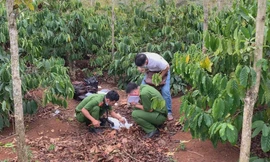 Công an khám nghiệm hiện trường