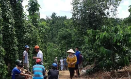 Hiện trường phát hiện thi thể 3 bố con anh K trong chòi rẫy