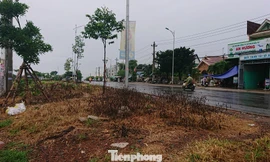 Phun hóa chất sát nhà dân