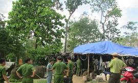 Vụ bắt xe gỗ trái phép tại Tây Nguyên: Đồn biên phòng lên tiếng